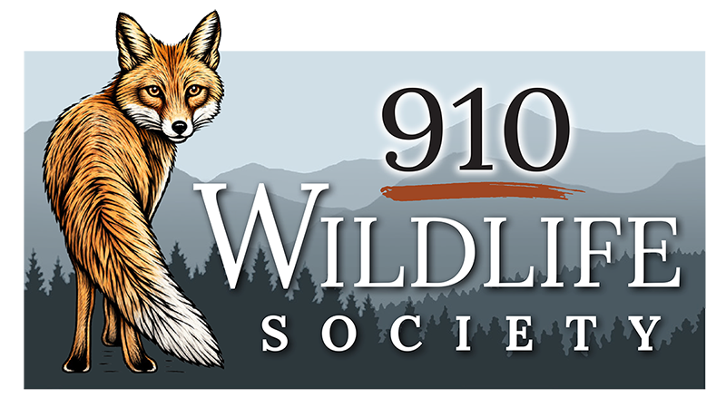 910foxlogo800